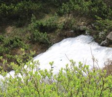 Zadnji ostanki snega